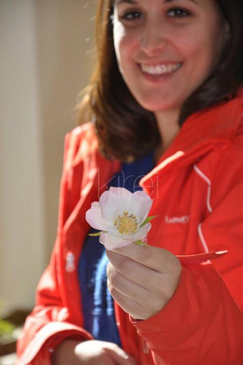 Kirei - Manualidades Japonesas - Modelado de flores - Curso manualidades Barcelona
