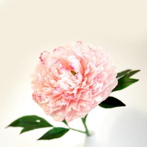 Kirei - Manualidades Japonesas - Modelado de flores - Curso manualidades Barcelona