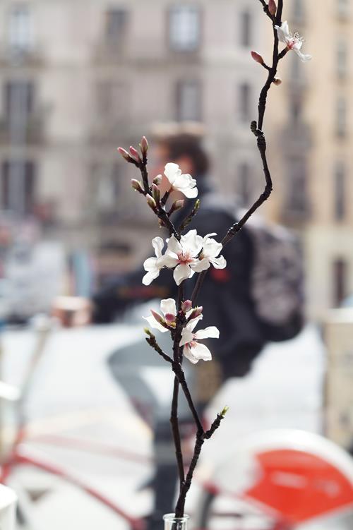 Kirei - Manualidades Japonesas - Modelado de flores - Curso manualidades Barcelona